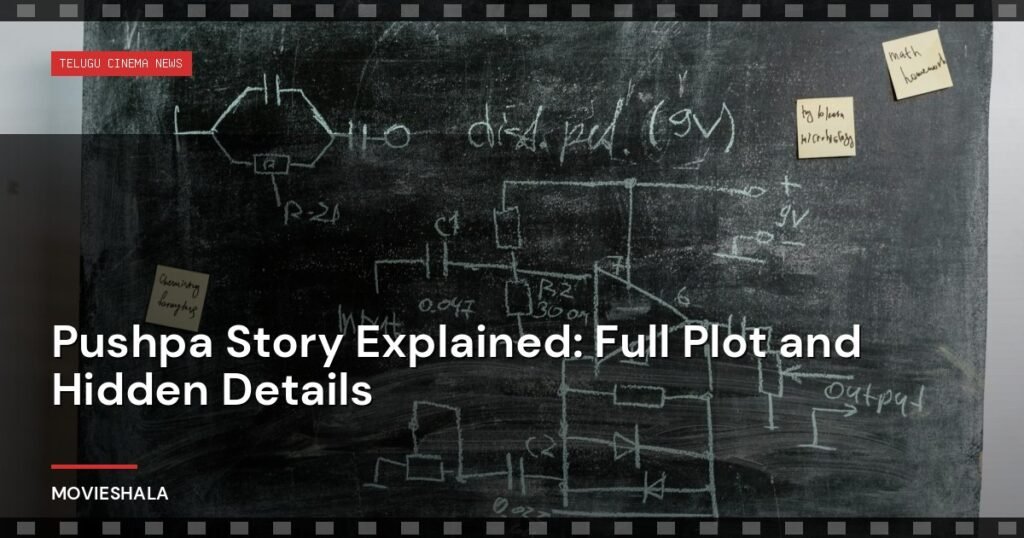 Pushpa Story Explained: Full Plot and Hidden Details - Movieshala