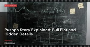 Pushpa Story Explained: Full Plot and Hidden Details