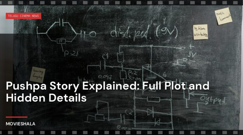 Pushpa Story Explained: Full Plot and Hidden Details - Movieshala