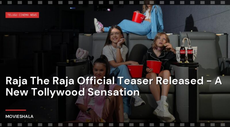 Raja The Raja Official Teaser Released - A New Tollywood Sensation - Movieshala